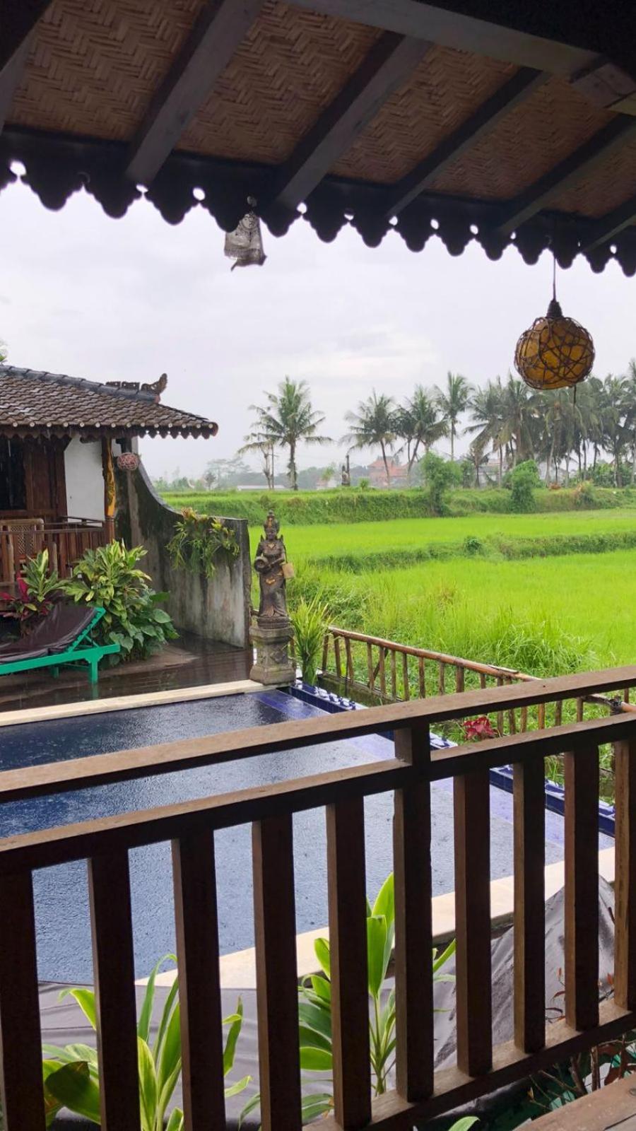 Green Paddy Hostel & Villa Убуд Екстериор снимка