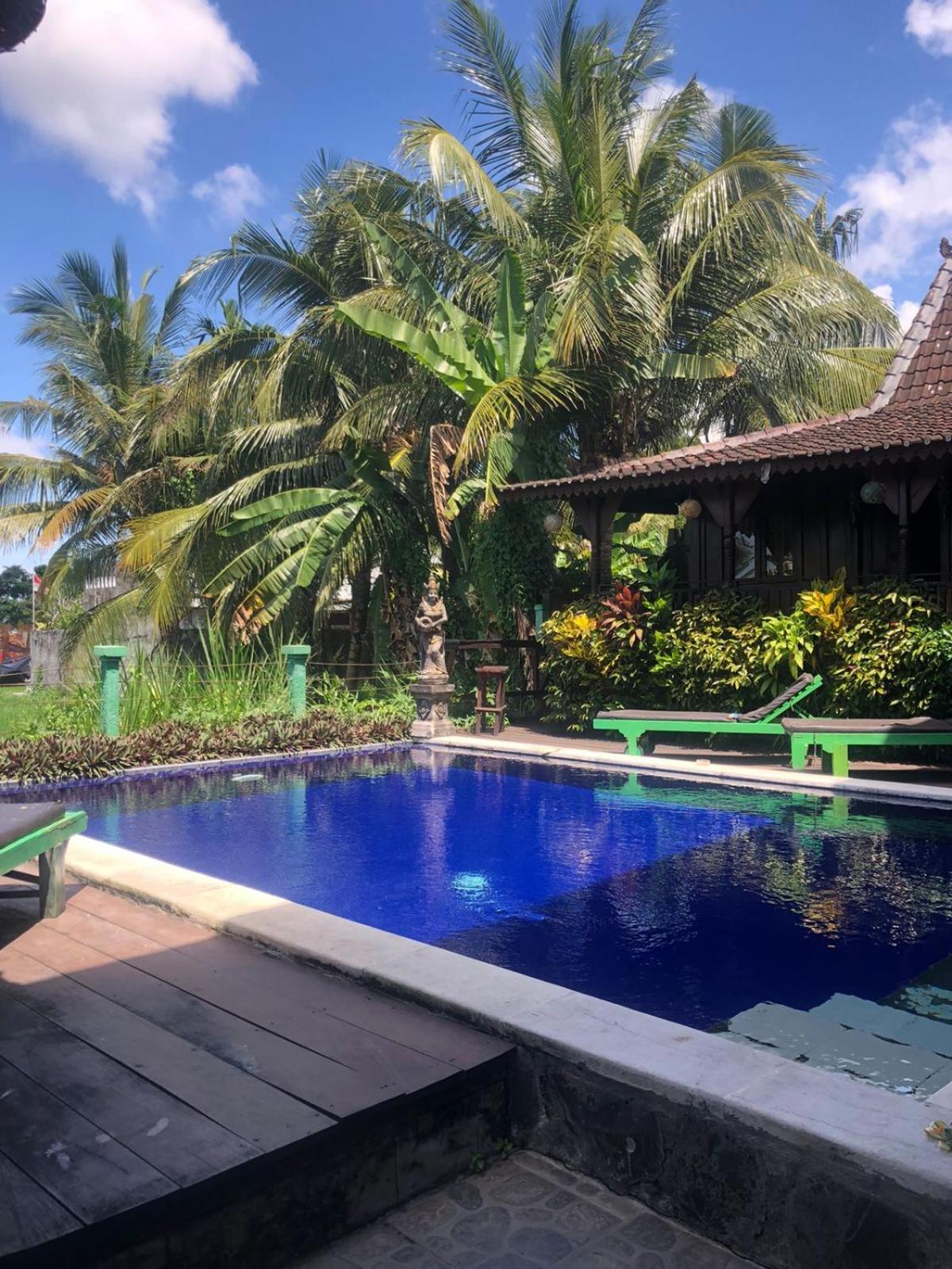 Green Paddy Hostel & Villa Убуд Екстериор снимка